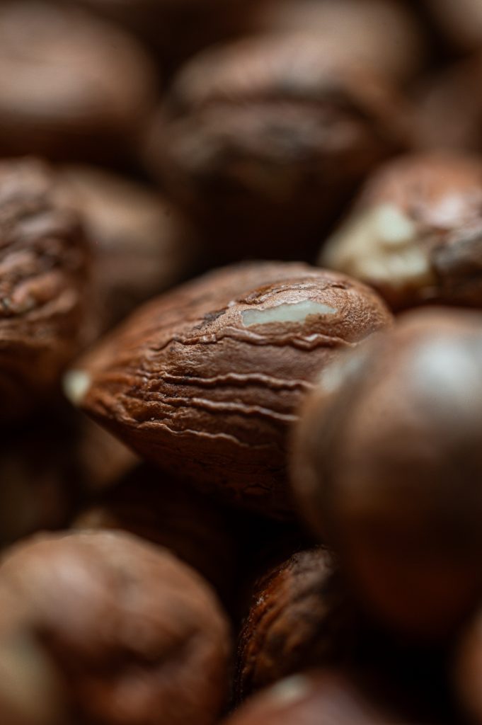 Noisettes d'Auvergne